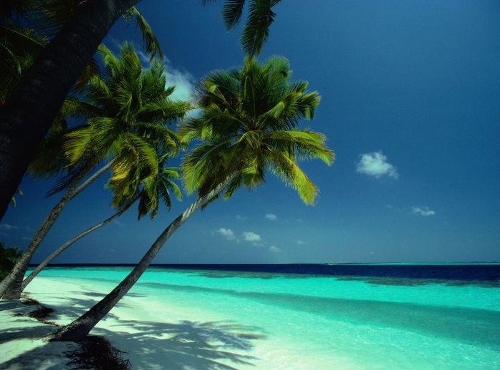 Beach in Hawaii.