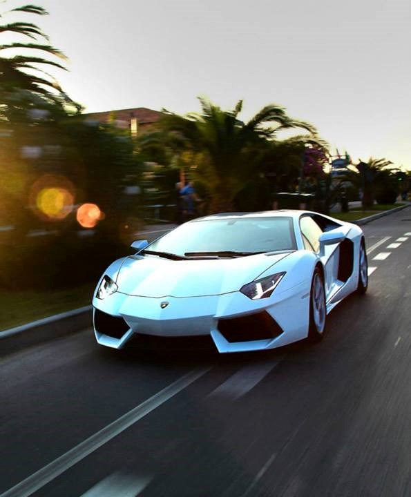 Lambo in action.