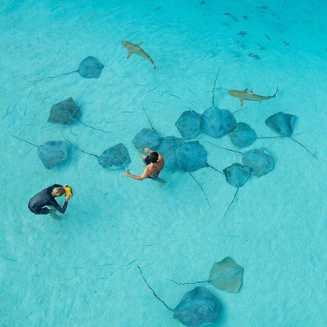 Moorea, French Polynesia.