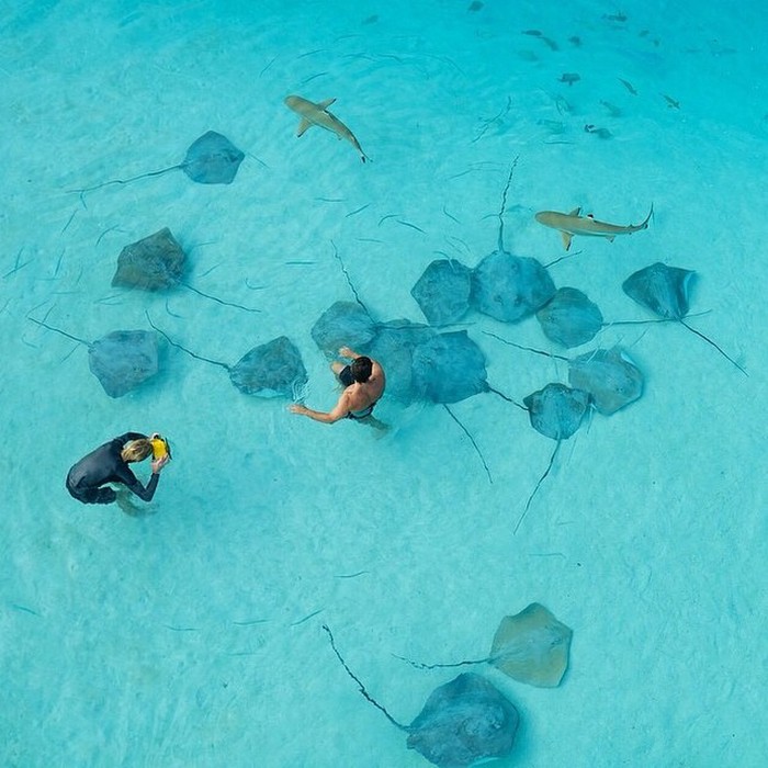 Moorea, French Polynesia.