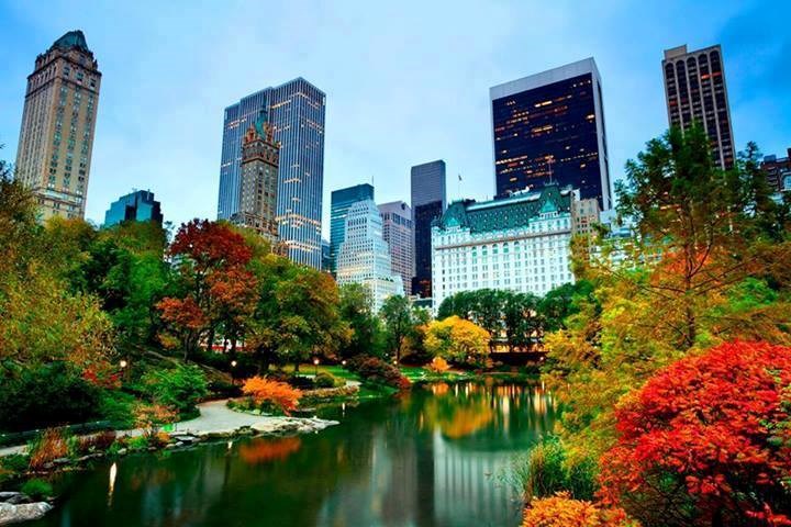Autumn colours in Central Park, New York.
