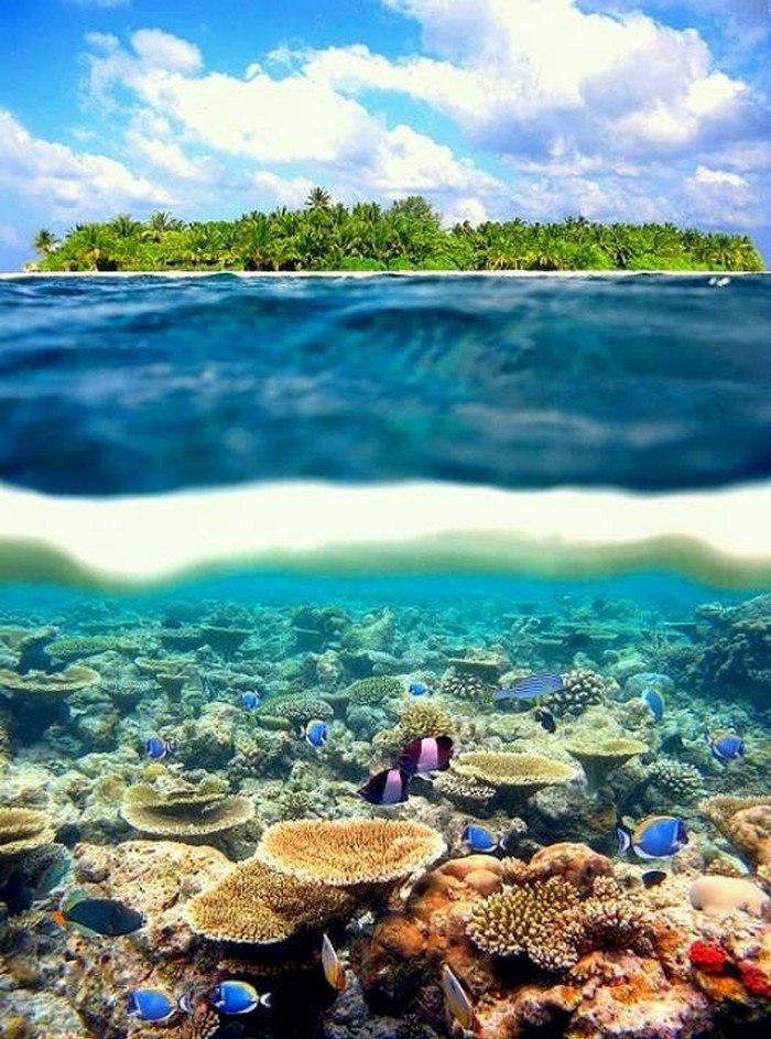 Tahiti 