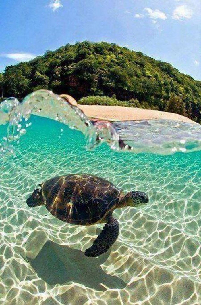 Zakynthos Island, Greece.