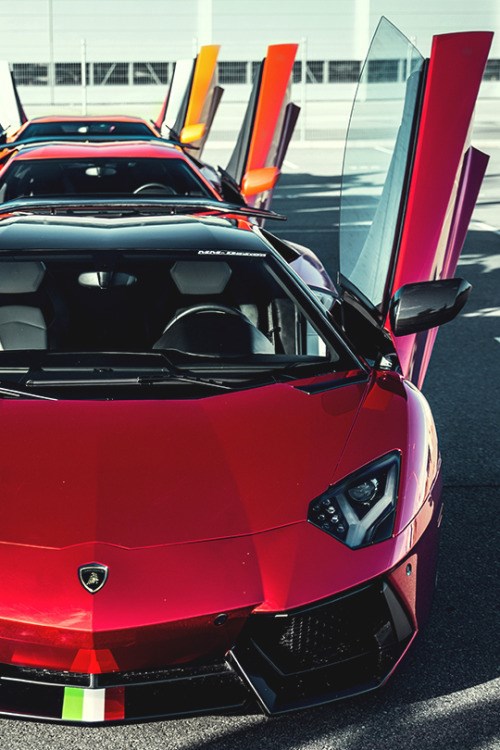 Red Aventador.