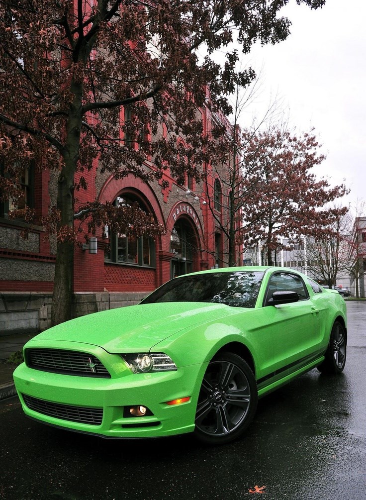 2013 Ford Mustang