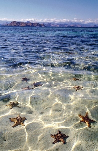 Starfish Beach, Grand Cayman
