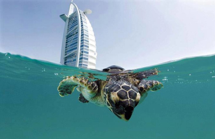 Dubai.