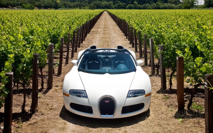 Bugatti Veyron 164 Grand Sport in Napa Valley.