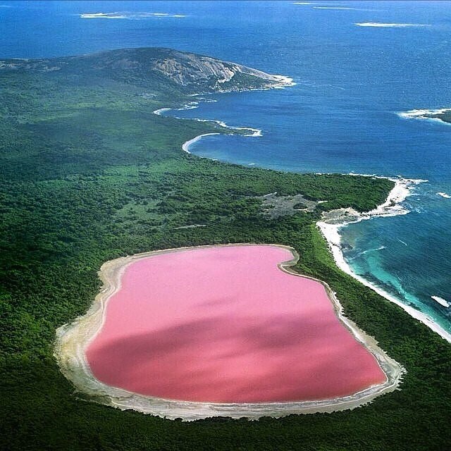 Pink lake on the coast of Western Australia.