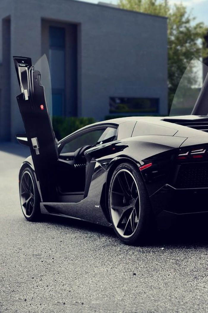 Fierce Lambo.