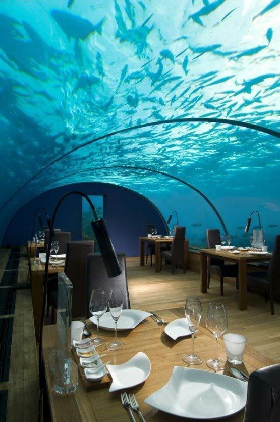 Ithaa- undersea restaurant in Hilton Maldives Resort and Spa