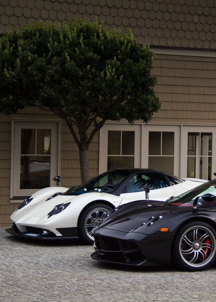 Pagani Huayra and Zonda.