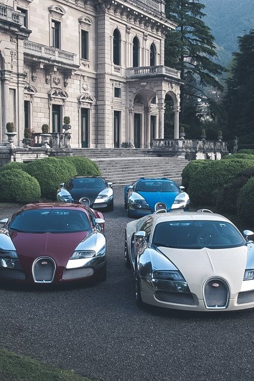 Bugatti meeting.