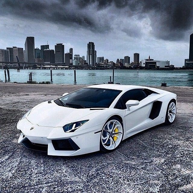 White Lamborghini.