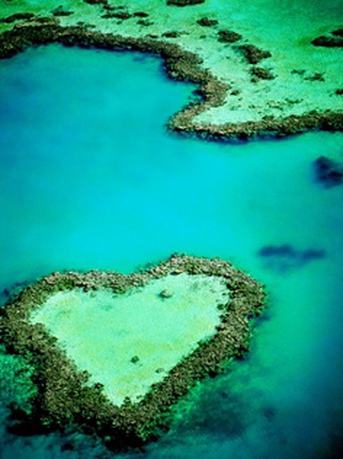 Great Barrier Reef, Australia