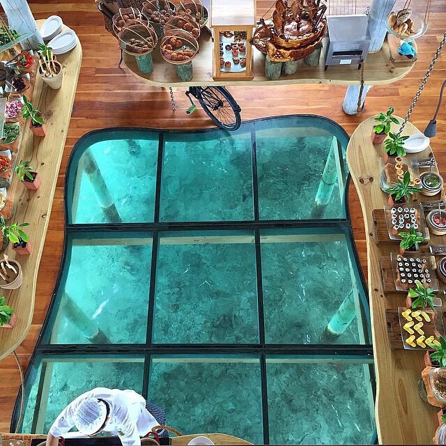 Would you dare to cook in this kitchen? 