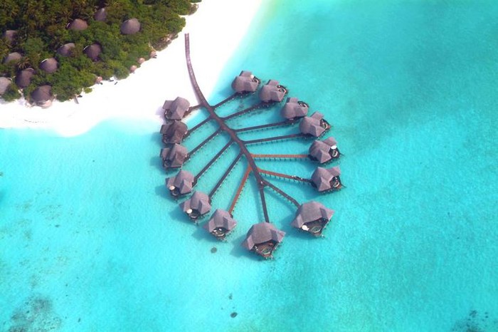 The Coco Palm Dhuni Kolhu villa complex in Maldives.