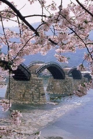 Sakuragawa River, Japan.