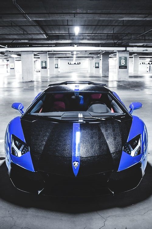 Chrome Blue Snakeskin Aventador.