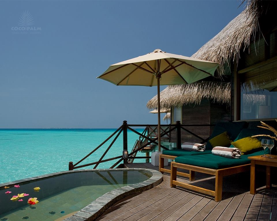 Pool at Coco Palm Dhuni Kolhu