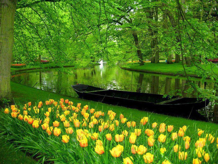 Keukenhof in Holland