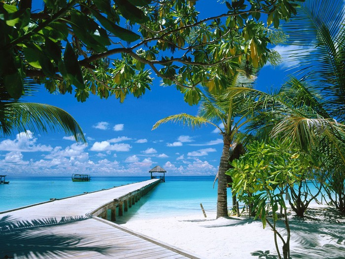 Amazing Maldives.