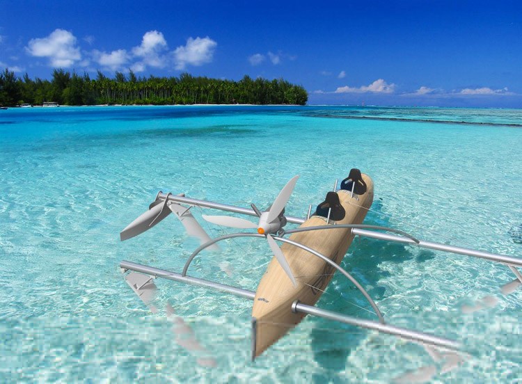 wFoil Albatross: Fly Right Over the Water