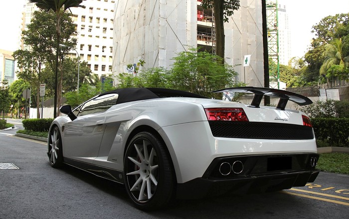 DMC Lamborghini Gallardo Toro.