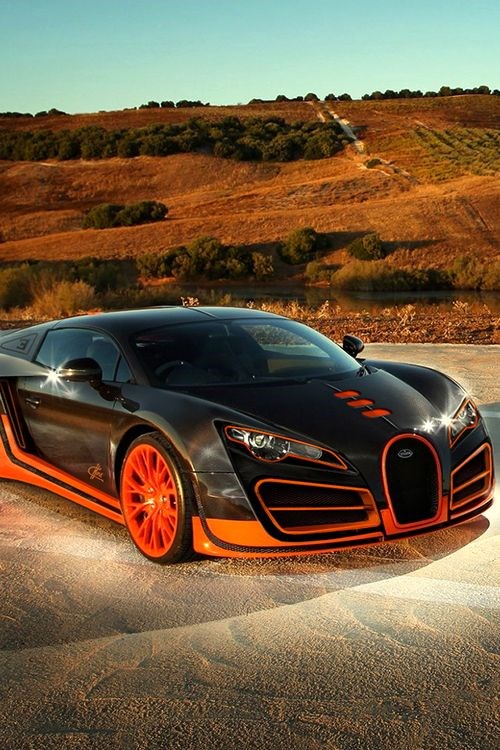 Bugatti Ettore SS Concept.