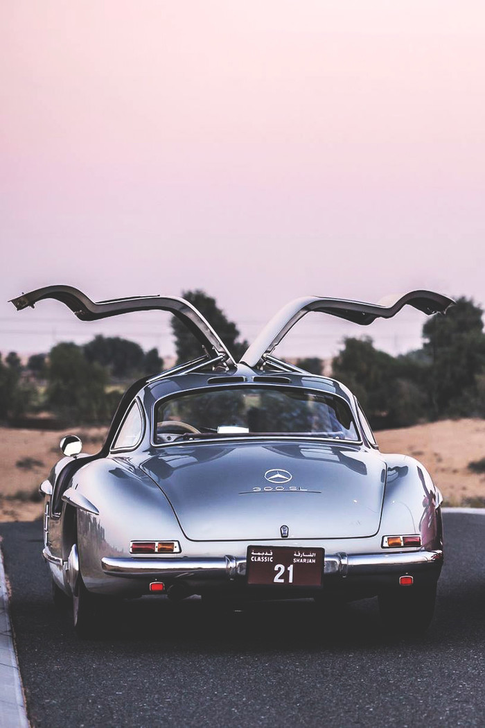 Gullwing.