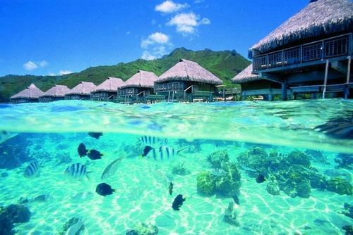 Nature's perfection.