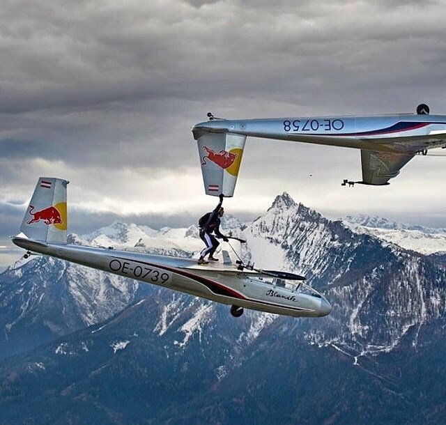 Brave or just crazy?