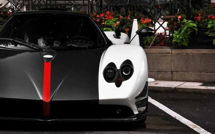 Black and white Pagani Zonda.