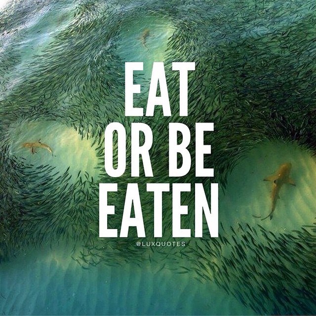 It's tough out there.