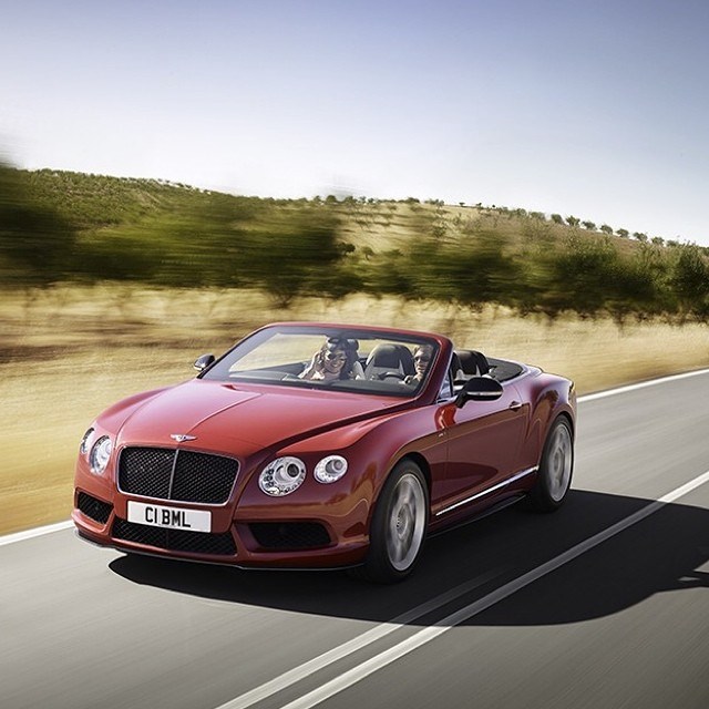 Roadtrip with Bentley.