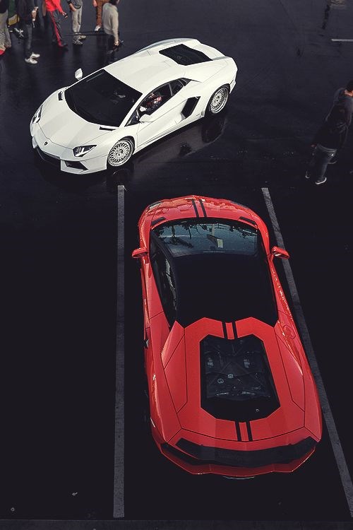 Red or white?