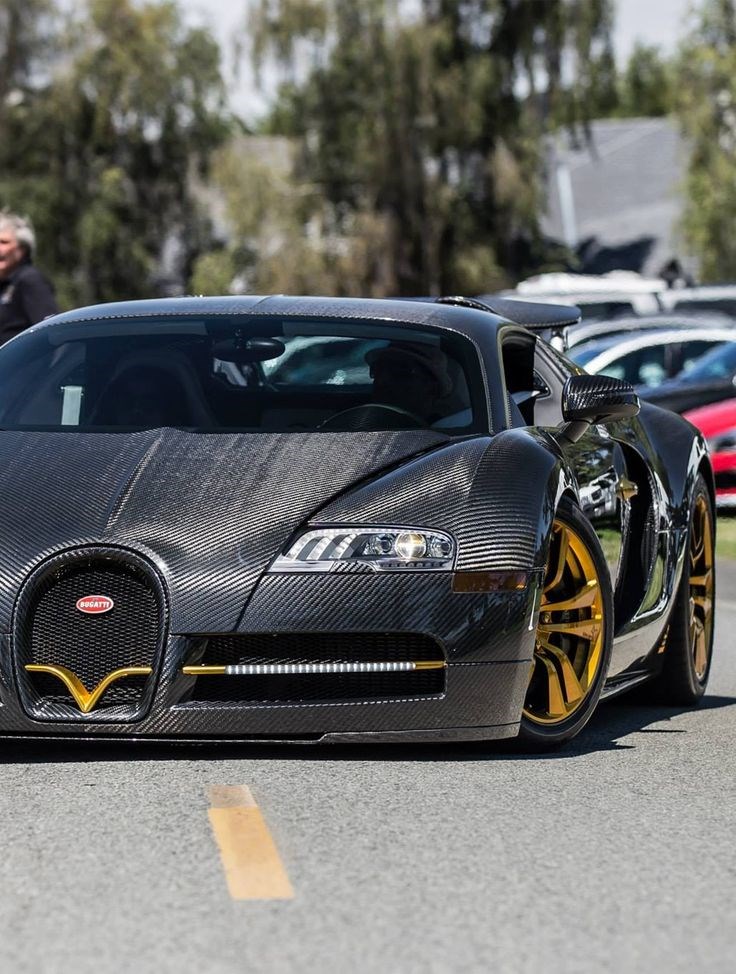 Bugatti Veyron Vincero by Mansory.