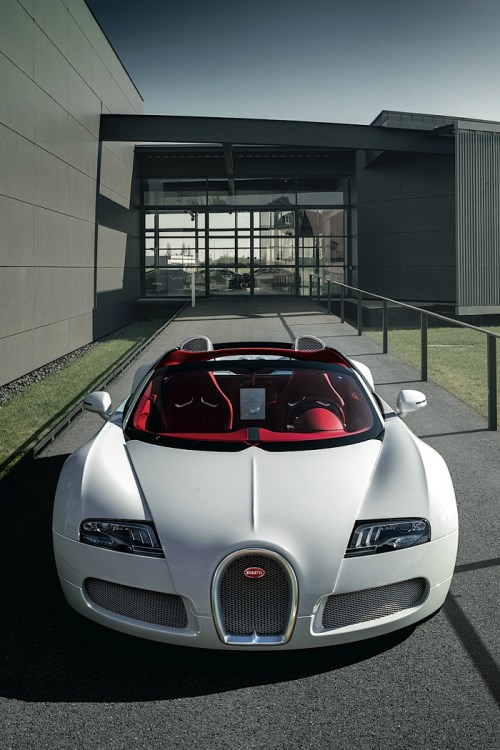 Bugatti Veyron Grand Sport Wei Long.