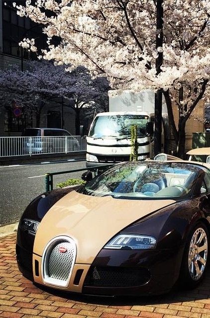 Bugatti Veyron Grand Sport Hermes.
