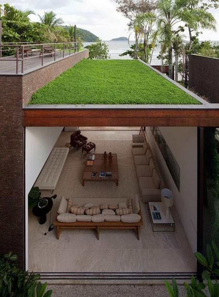 Green roof + living room