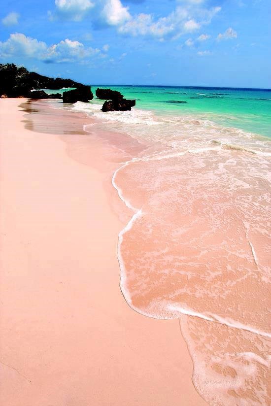 Pink beach in Bermuda