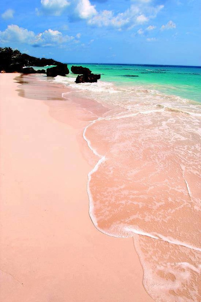 Pink beach in Bermuda