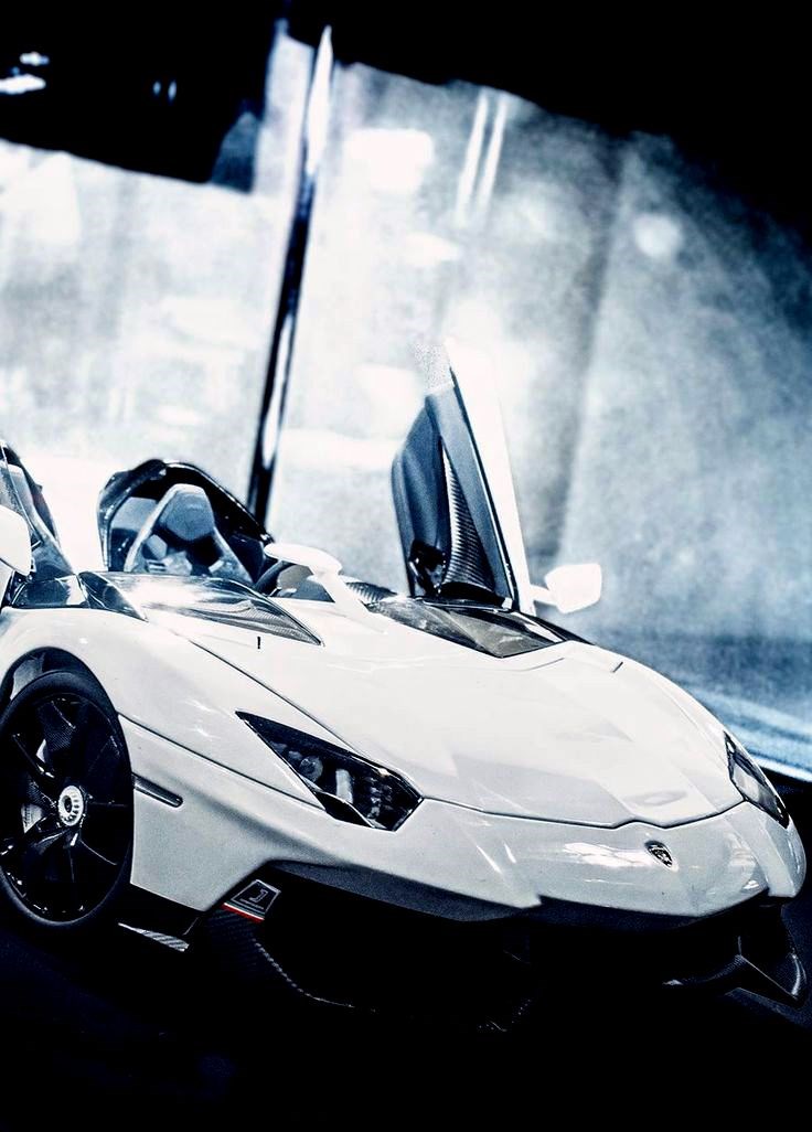 Lamborghini Aventador J.