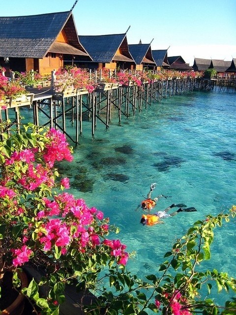 Beautiful Tahiti 