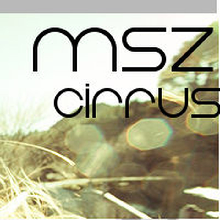 Toppy - Significant (MSZ Remix)