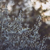 Pools - Tables and chairs