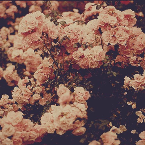 The Orb - Little Fluffy Clouds