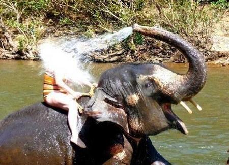 haha..taj slatki okus osvete..