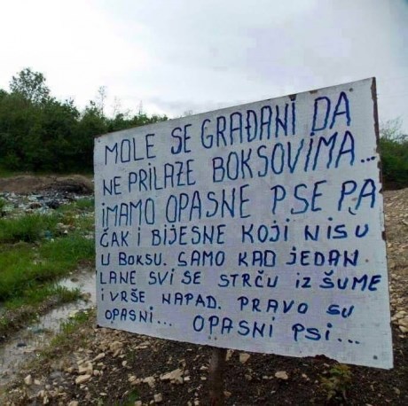 opasni psi..:))