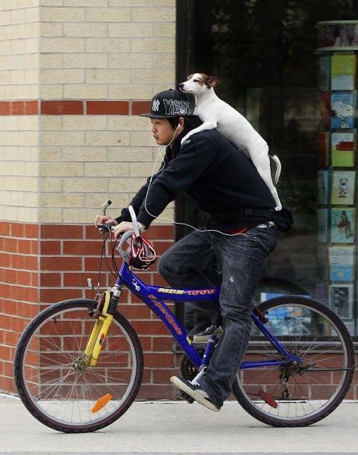 ako ovo nije povjerenje, ne znam što jest..